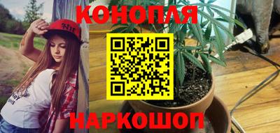 ПСИЛОЦИБИНОВЫЕ ГРИБЫ Тара