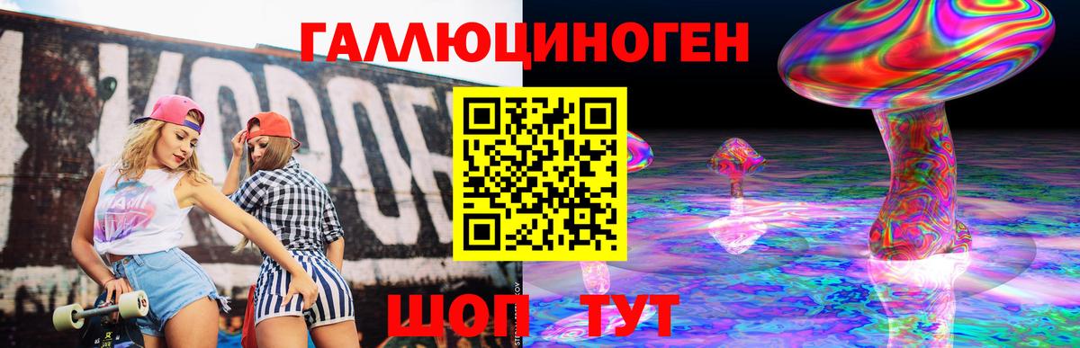 Галлюциногенные грибы Psilocybe  Вход с VPN  закладка  Стерлитамак  Псилоцибиновые грибы Psilocybe 
